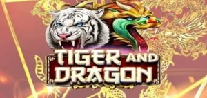 Chinh Phục Trò Chơi Dragon Tiger Tại FUN88: Hành Trang Cho Chiến Thắng